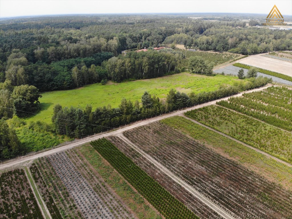 Działka rolna na sprzedaż Gąba  17 400m2 Foto 3