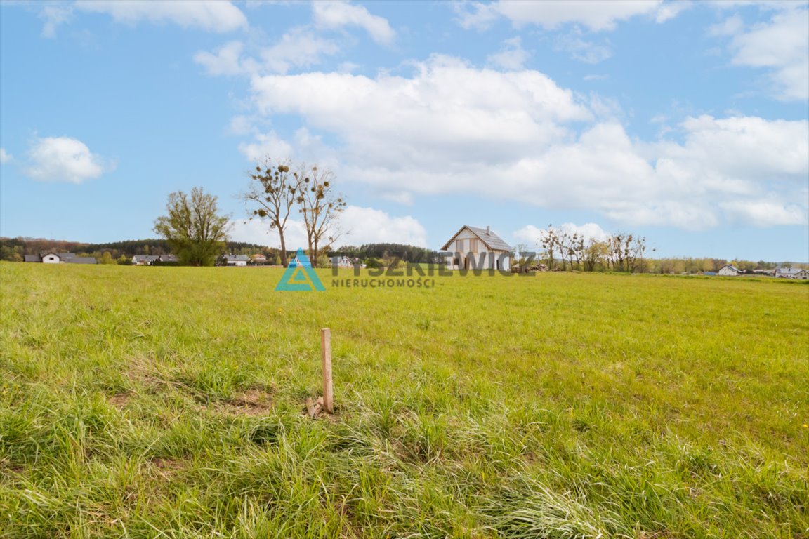 Działka budowlana na sprzedaż Sulmin  1 598m2 Foto 10