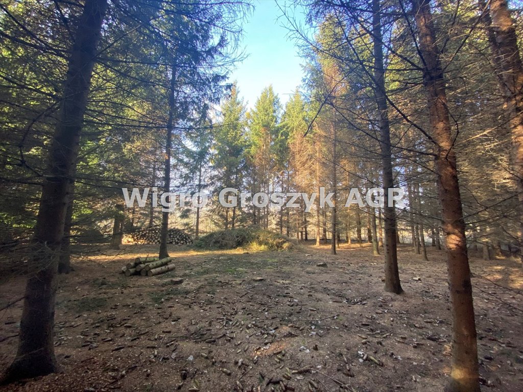 Działka budowlana na sprzedaż Pasikonie  2 431m2 Foto 1