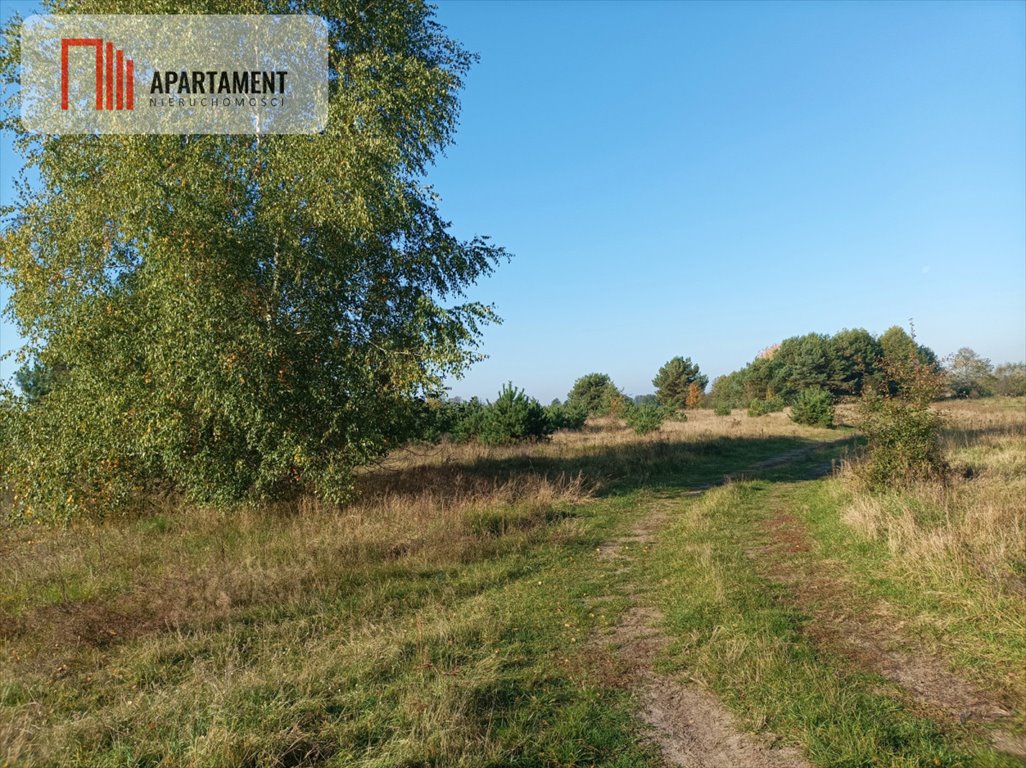 Działka gospodarstwo rolne na sprzedaż Gutowo  16 800m2 Foto 2