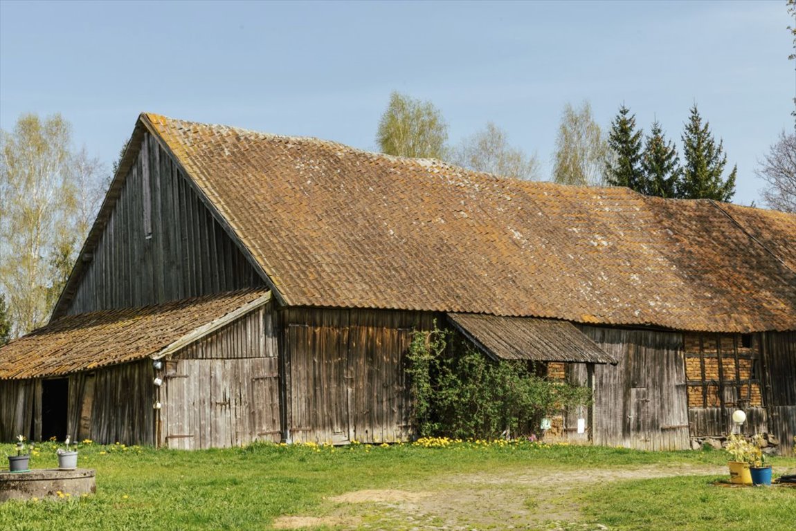 Działka rolna na sprzedaż Pakosze  270 500m2 Foto 1