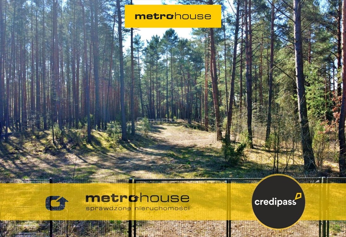 Działka 3,12 ha z pozwoleniem na dom w Białobrzegu Białobrzeg Dalszy, Spokojna  31 200m2 Foto 1