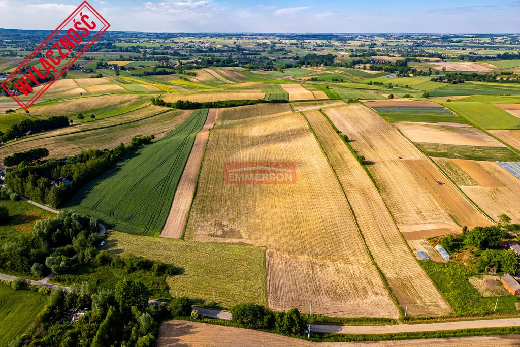 Działka rolna 53 000 m² z dojazdem asfaltowym w Grębocinie Grębocin  53 000m2 Foto 1