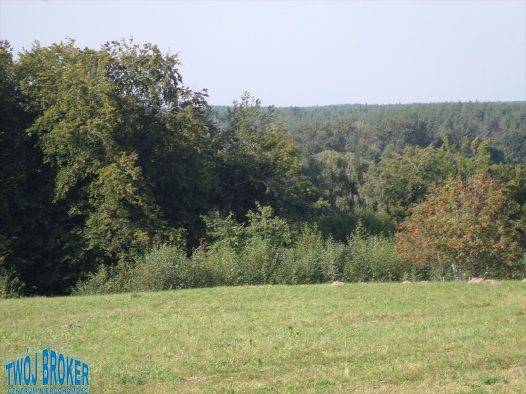 Działka budowlana na sprzedaż Osieki  1 522m2 Foto 11