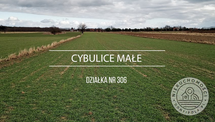 Do sprzedania przestronna działka rolna 10 600 m² z możliwością zabudowy Cybulice Małe  10 600m2 Foto 1