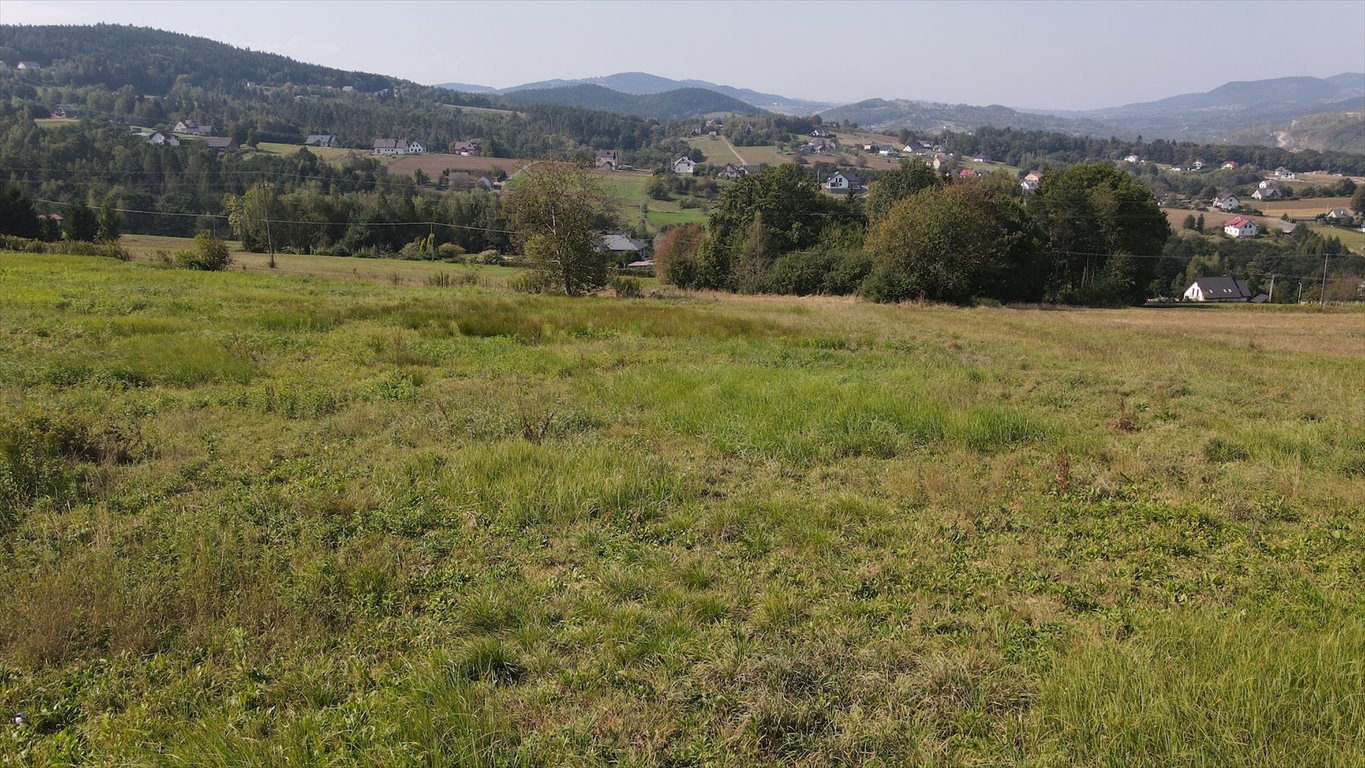 Działka budowlana na sprzedaż Chełmiec, Rdziostów - Marcinkowice  1 200m2 Foto 4