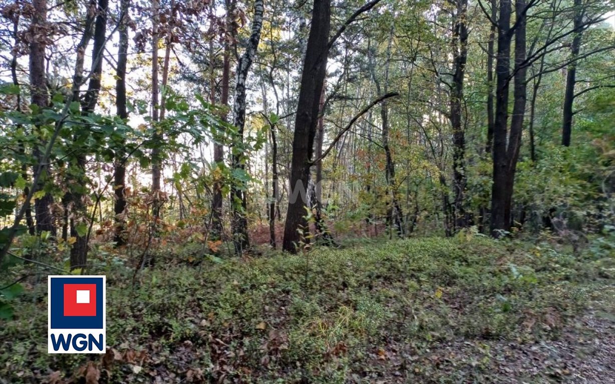 Działka leśna na sprzedaż Myszków, Nowa Wieś  1 959m2 Foto 2