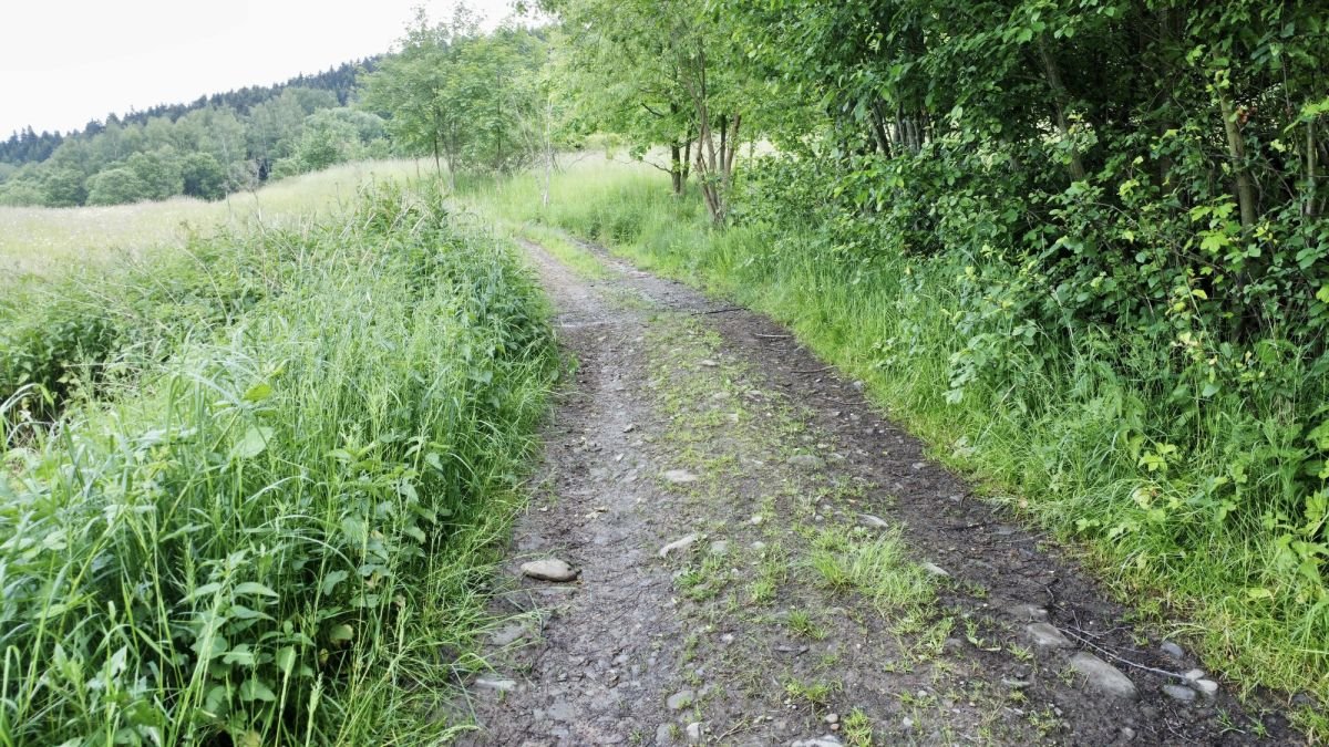 Działka rolna na sprzedaż Rychwałd  1 100m2 Foto 8