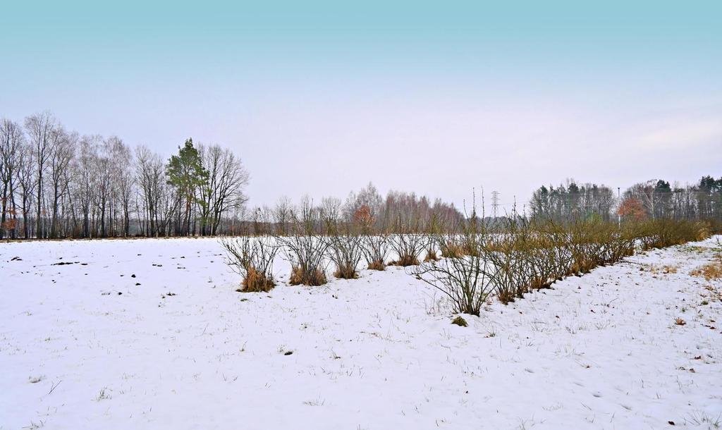 Działka pod dom w Kazimierzu Dolnym, 1620 m2, blisko natury Kazimierz Dolny  1 620m2 Foto 1