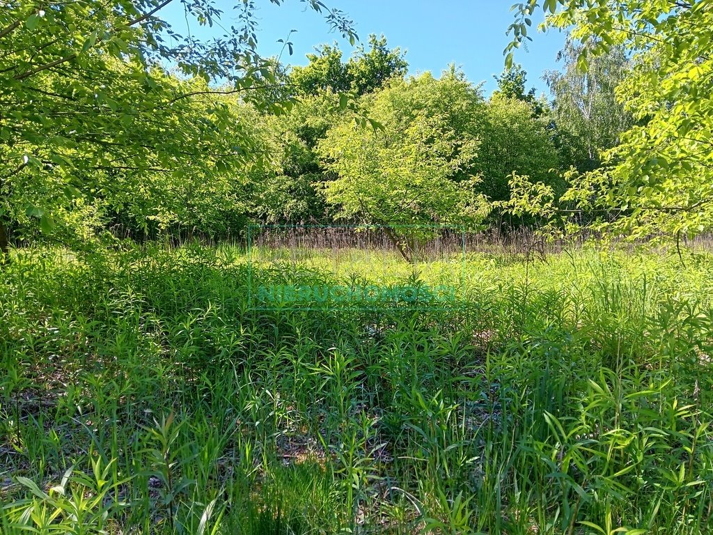 Działka budowlana na sprzedaż Chrzanów Mały  1 972m2 Foto 1