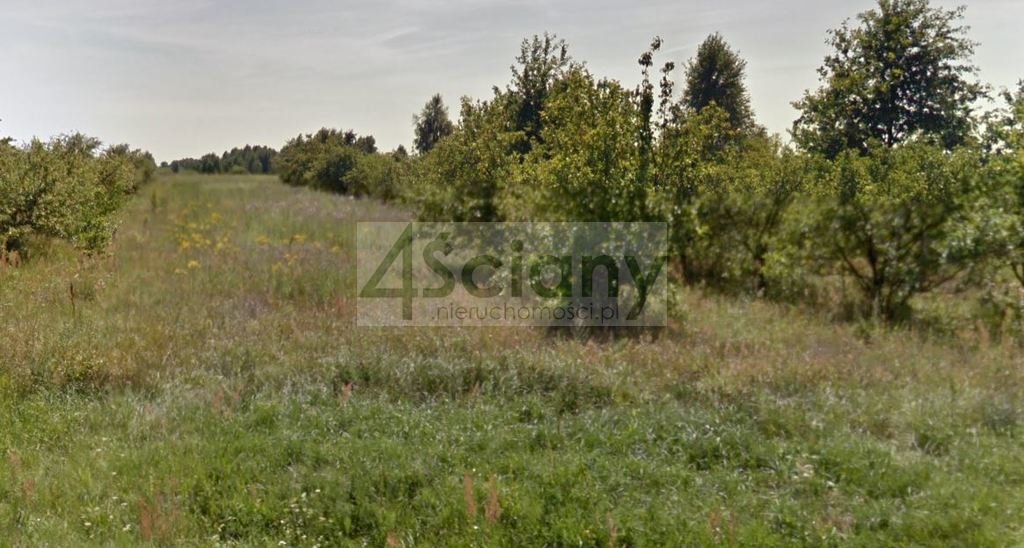 Na sprzedaż działka rolna 5000 m² z możliwością zabudowy Stary Łajszczew  5 000m2 Foto 1