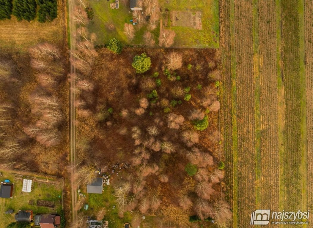 Do sprzedania działka 3017 m² w Stawnie z lasami i dostępem do mediów Stawno  3 017m2 Foto 1