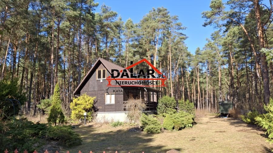Urokliwy domek 41,6 m² na dużej działce (2000 m²) w Rozniszewie Rozniszew  46m2 Foto 1