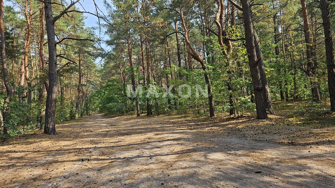 Działka budowlana na sprzedaż Józefów, Michalin  3 814m2 Foto 6