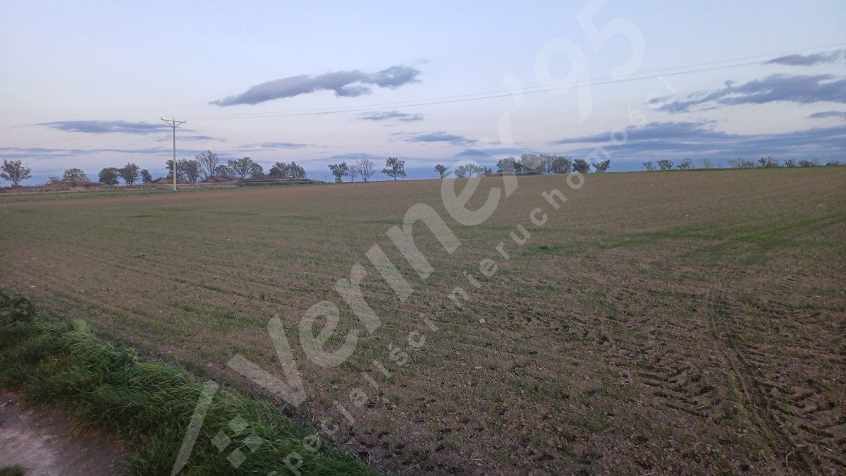 Działka budowlana na sprzedaż Jawor  2 375m2 Foto 2