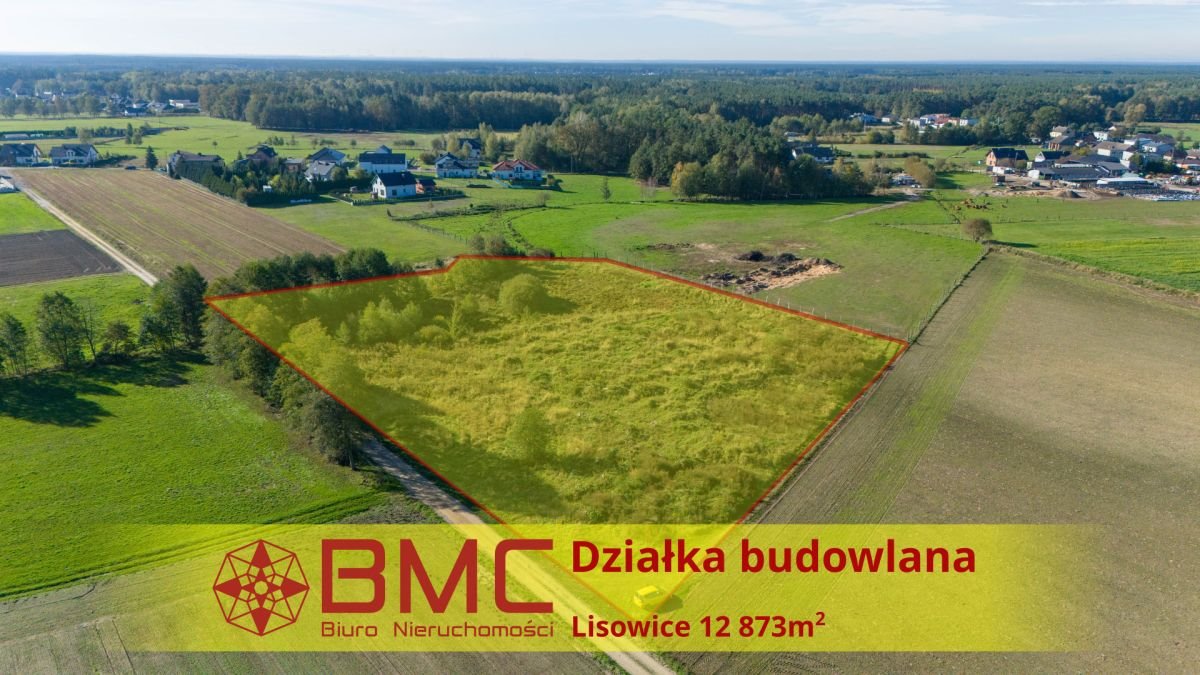 Działka budowlana na sprzedaż Lisowice, Dolna  12 873m2 Foto 1