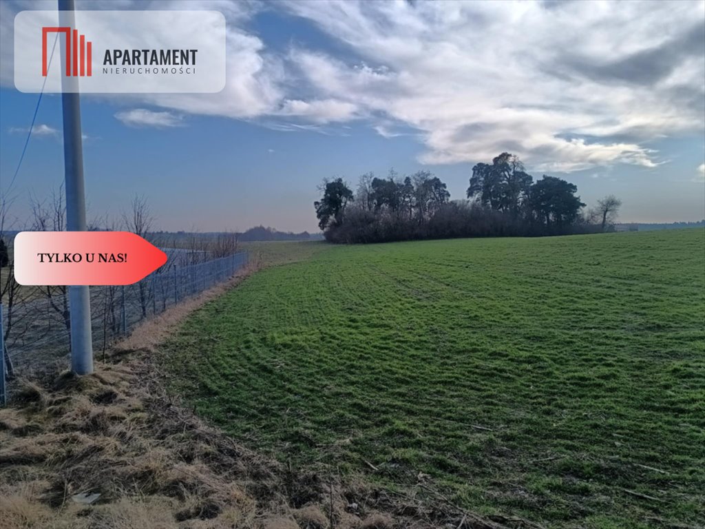 Działka budowlana na sprzedaż Osetno  11 800m2 Foto 2