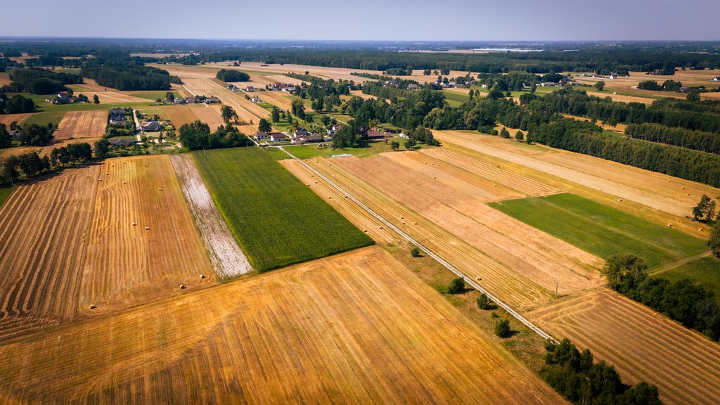 Działka budowlana na sprzedaż Adamów  1 255m2 Foto 5