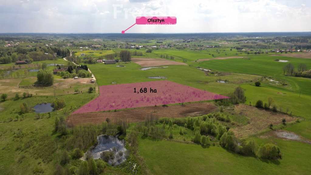 Działka rolna na sprzedaż Różnowo  16 800m2 Foto 1