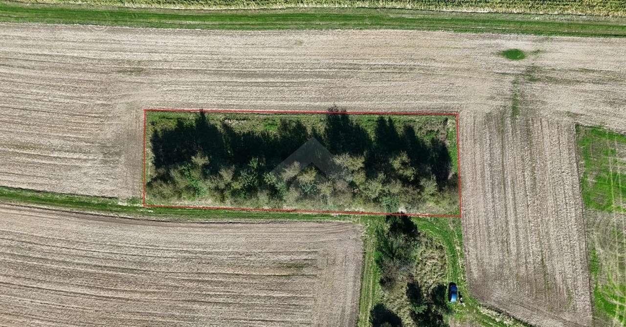 Działka rolna na sprzedaż Rybna  1 700m2 Foto 1