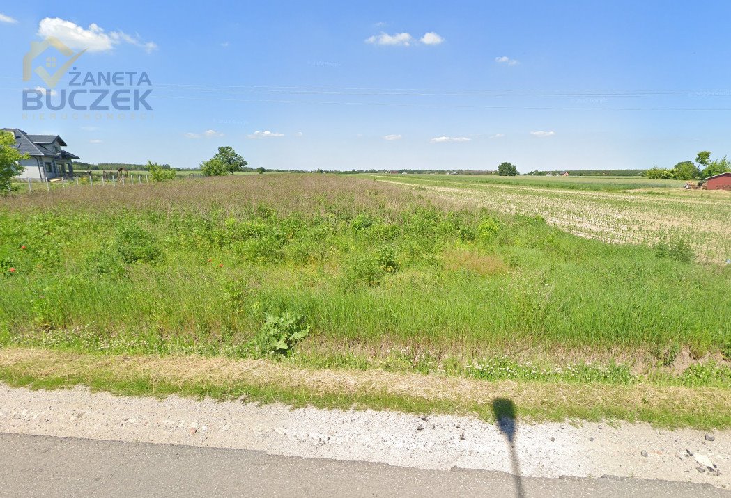 Działka rolna na sprzedaż Mikołajew, Stary Mikołajew  11 000m2 Foto 3