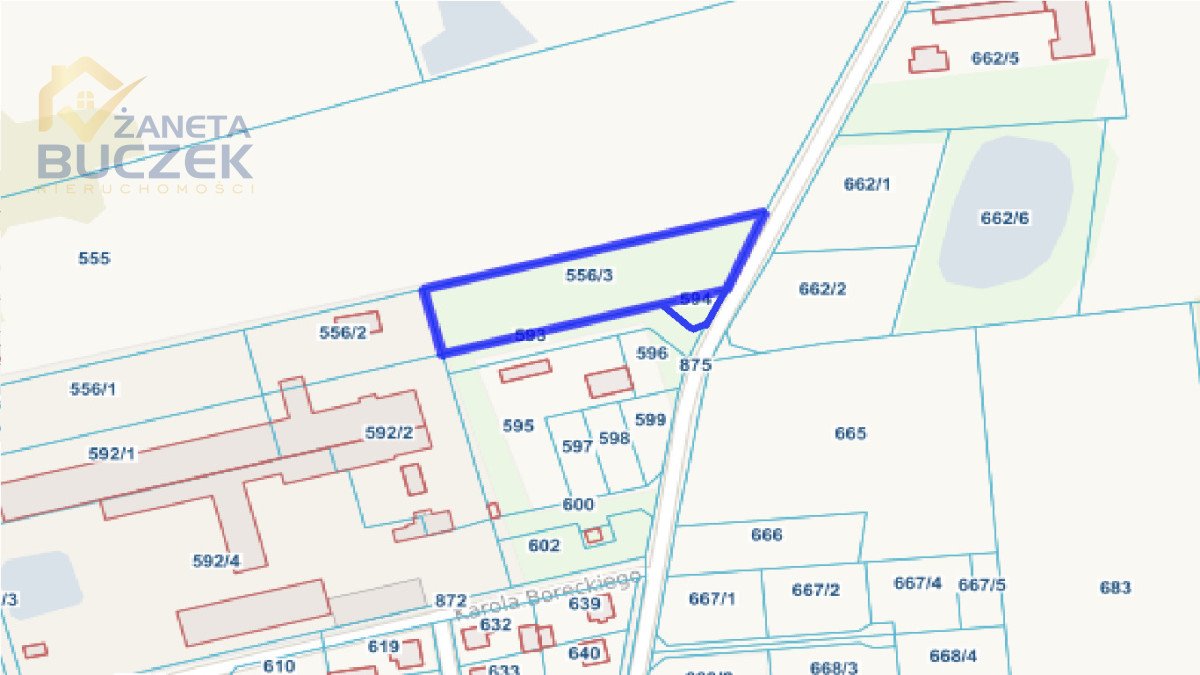 Działka pod przemysł w Nieborowie, 3576 m2, cena do negocjacji Nieborów, Spacerowa  3 576m2 Foto 1