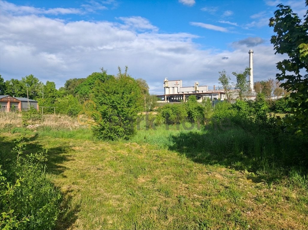 Na sprzedaż przestronna działka 4131 m² w spokojnej okolicy Wymiarek Wymiarki  4 131m2 Foto 1