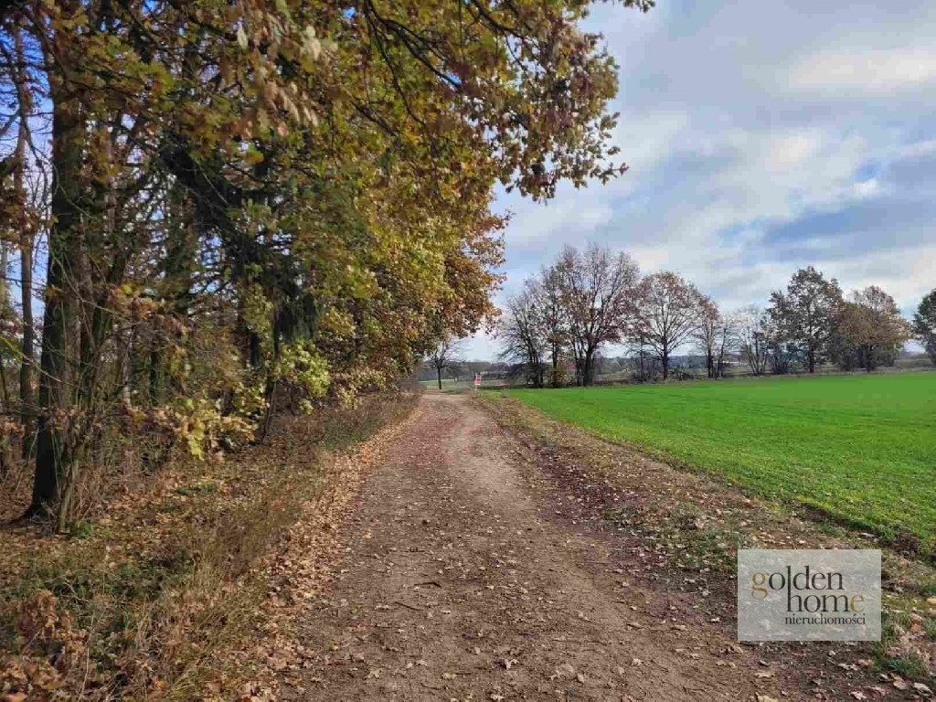 Działka budowlana na sprzedaż Grzebienisko, Świerkowa  2 555m2 Foto 8