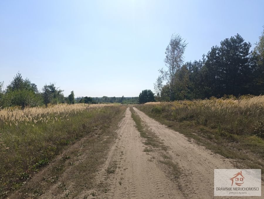 Działka rolna na sprzedaż Mielenko Drawskie, Mielenko Drawskie  71 700m2 Foto 10