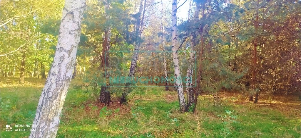 Działka leśna z prawem budowy na sprzedaż Budy Michałowskie  6 000m2 Foto 1