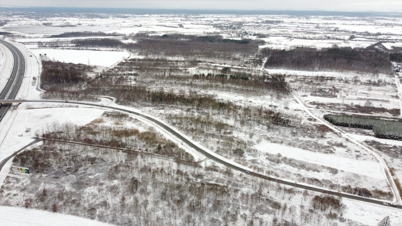 Działka przemysłowo-handlowa na sprzedaż Borek  3 988m2 Foto 15