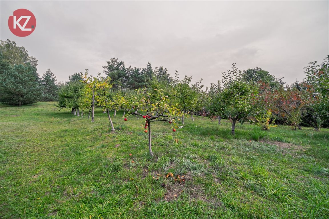 Lokal użytkowy na sprzedaż Wysoka Wielka  589m2 Foto 18