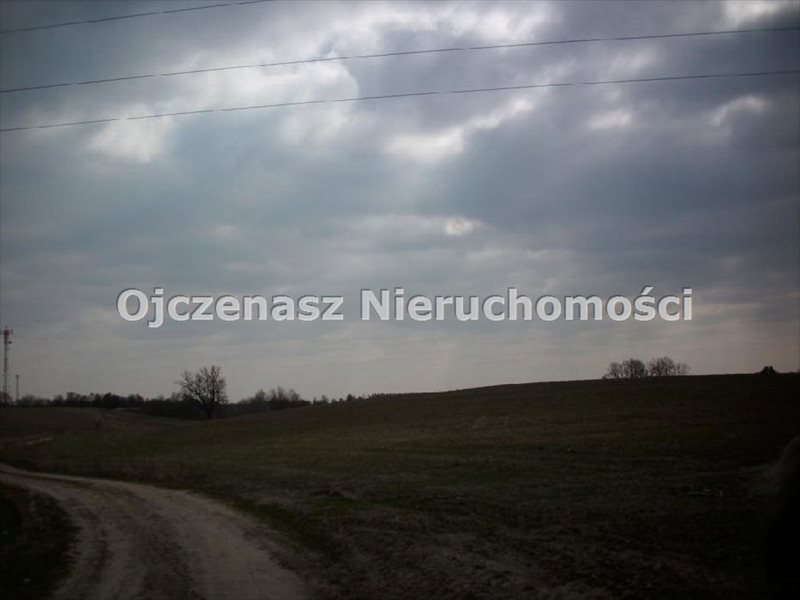 Działka 35 ha z planem na siłownię wiatrową i inwestycje Lubiewo  100 000m2 Foto 1