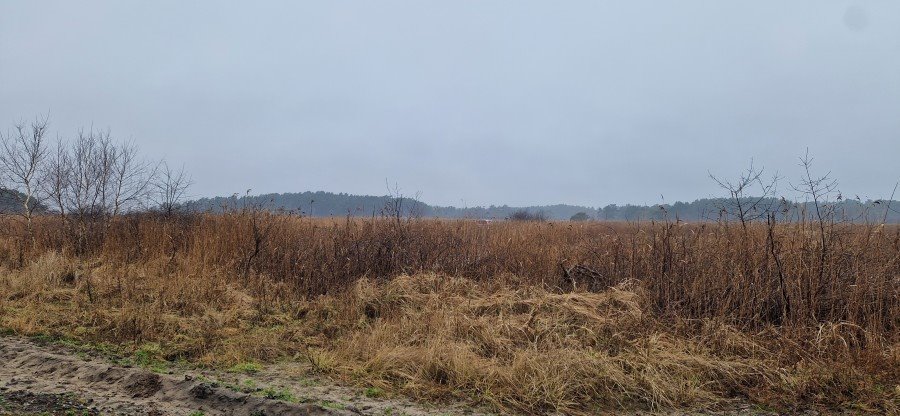 Działka budowlana na sprzedaż Międzywodzie  4 561m2 Foto 4