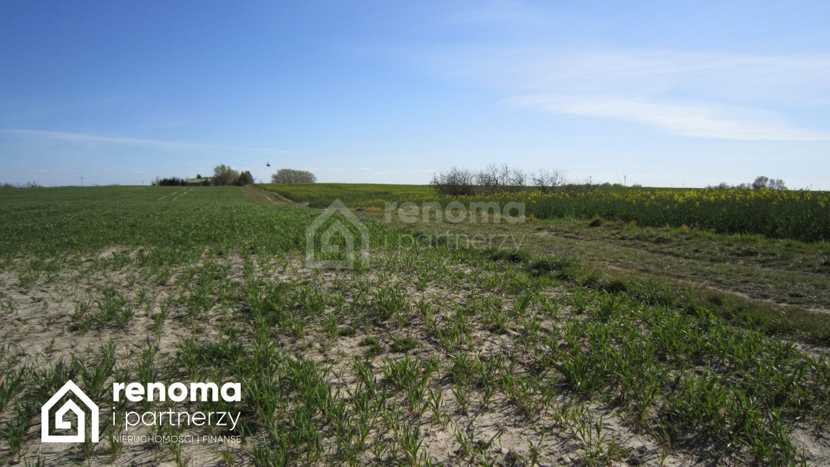 Działka budowlana na sprzedaż Strzeżenice  1 000m2 Foto 4