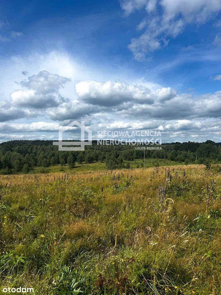 Działka budowlana w malowniczej okolicy z dostępem do jeziora Trzepowo  2 913m2 Foto 1