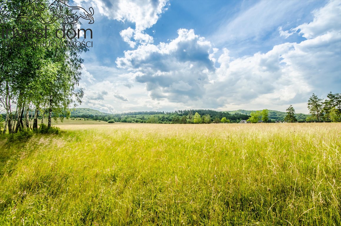 Działka budowlana na sprzedaż Wysowa-Zdrój  1 047m2 Foto 14