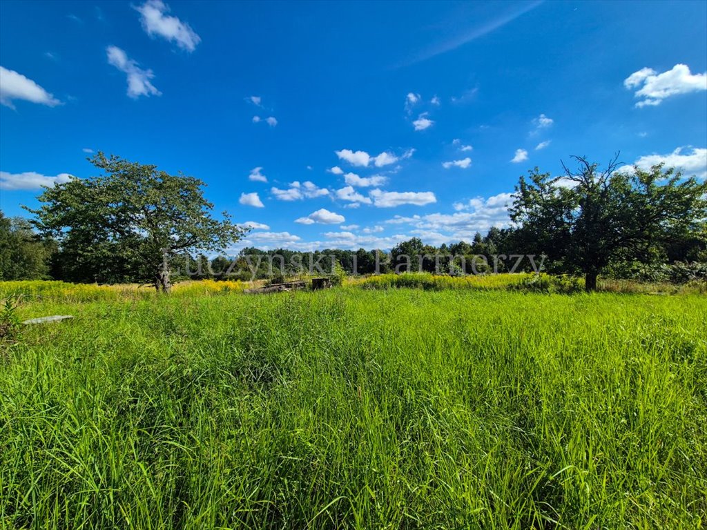 Działka 13 700 m² w Kłopotnicy z warunkami zabudowy - polecam! Kłopotnica  13 700m2 Foto 1