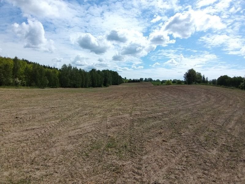 Działka rolna na sprzedaż Nowosady  19 000m2 Foto 1