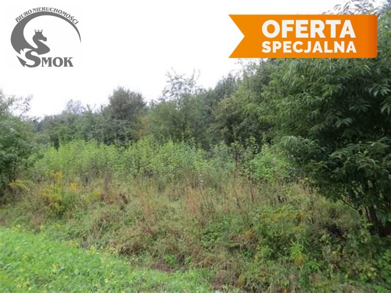 Działka rolna 23a z dojazdem polnym – idealna pod inwestycję Zarzyce Małe  2 300m2 Foto 1