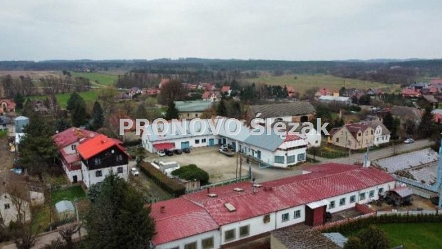 Lokal użytkowy na sprzedaż Oborniki Śląskie, Golędzinów  1 271m2 Foto 5