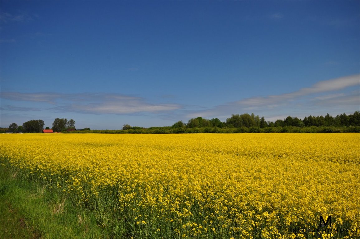 Działka budowlana na sprzedaż Kładno, Pleśna  3 000m2 Foto 10