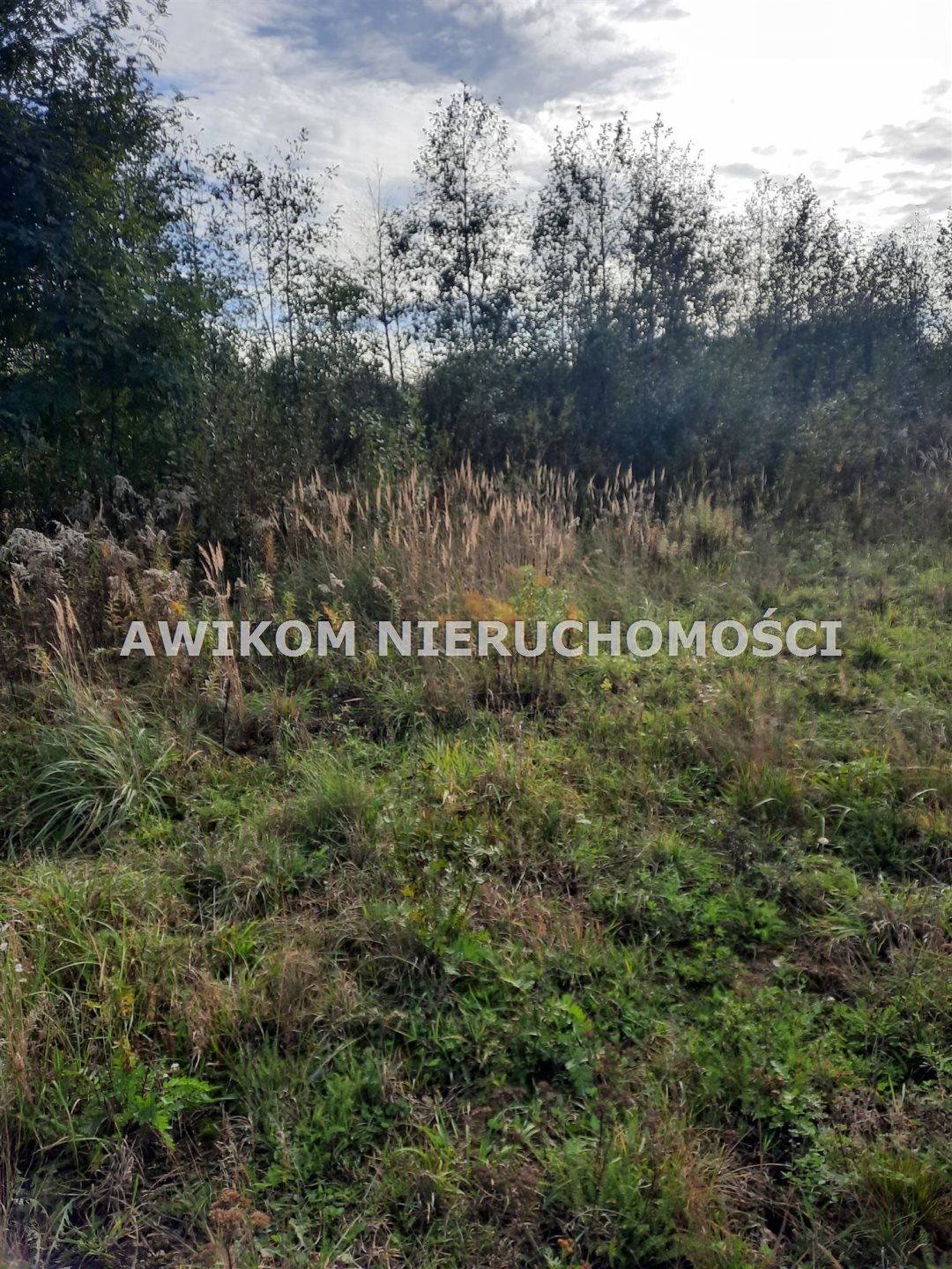 Działka inna na sprzedaż Grodzisk Mazowiecki, Szczęsne  7 997m2 Foto 2