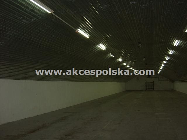 Lokal użytkowy na wynajem Łomianki, Łomianki Górne, Warszawska  500m2 Foto 1