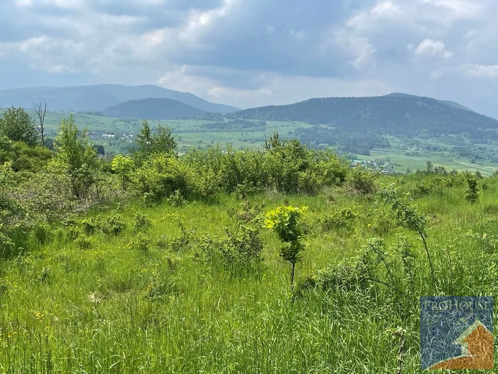 Do sprzedania działka 4800 m² z planem zabudowy i usługami Zamieście  4 800m2 Foto 1