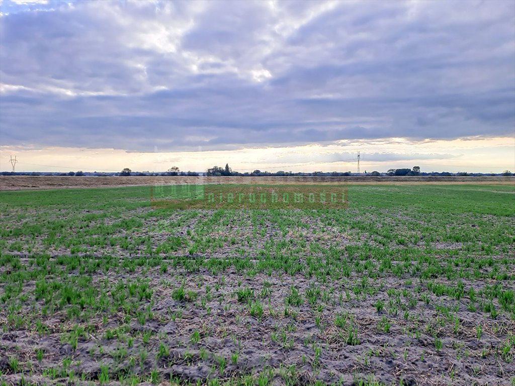 Działka inna na sprzedaż Opole, Grotowice  5 197m2 Foto 3