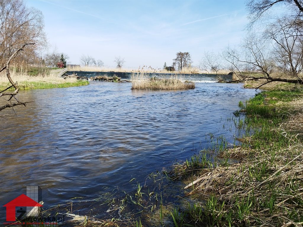 Działka budowlana na sprzedaż Kędzierzyn-Koźle, Sławięcice, Puszkina  2 277m2 Foto 4