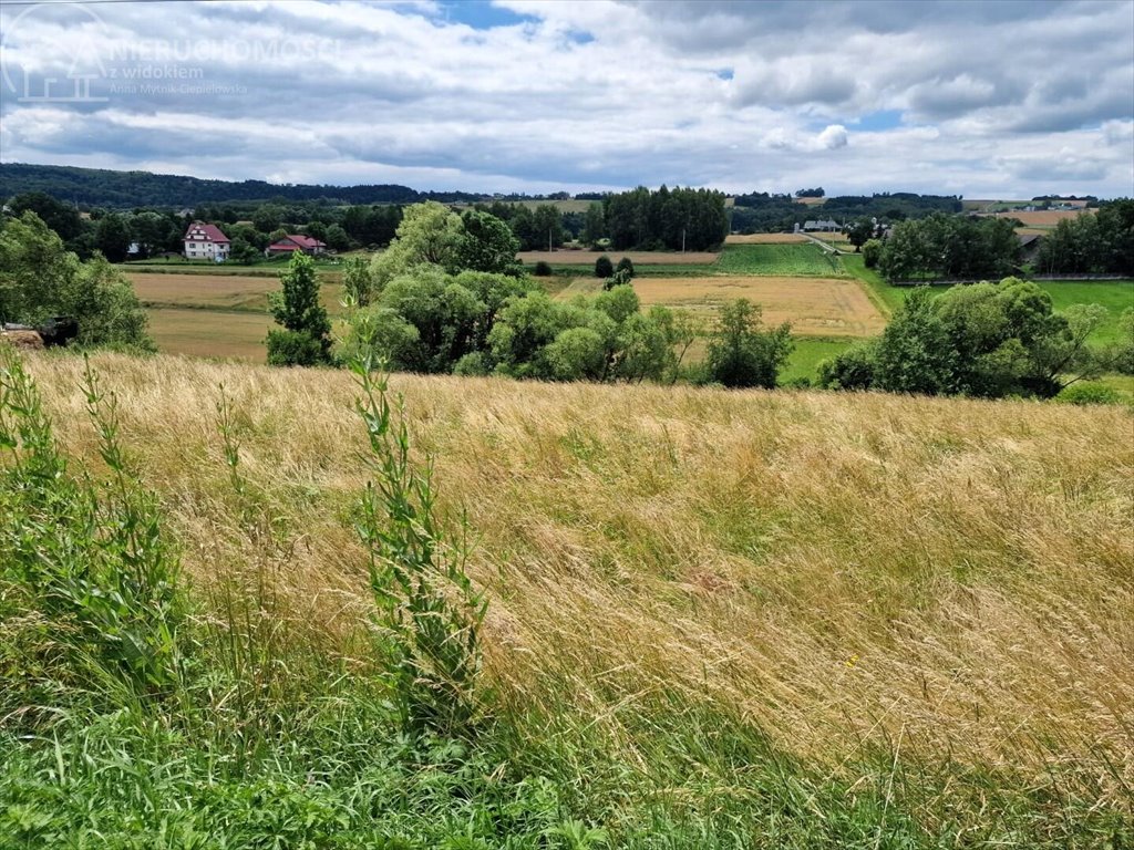 Działka budowlana na sprzedaż Sitnica  10 602m2 Foto 2