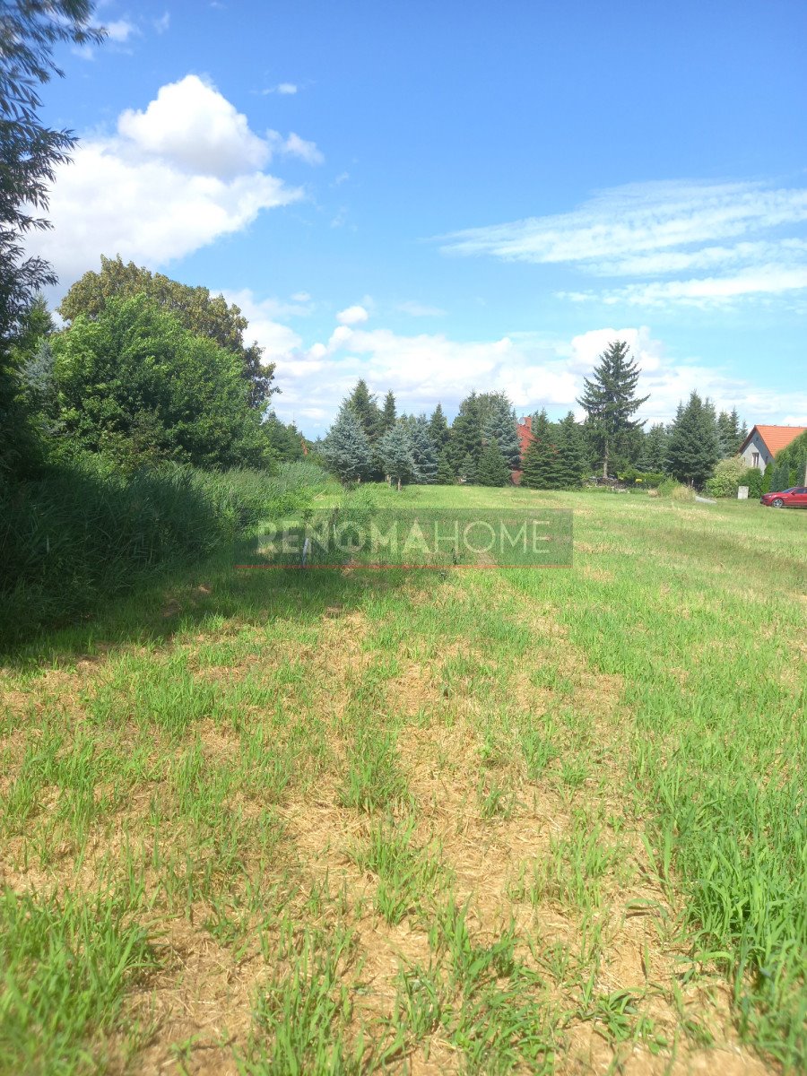 Sprzedam dużą działkę inwestycyjną 14 464 m² w Mrowinach Mrowiny  14 464m2 Foto 1