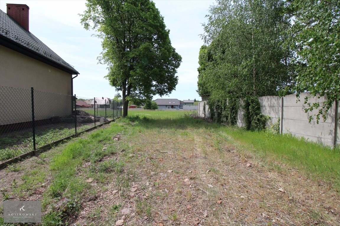Zdjęcie 6